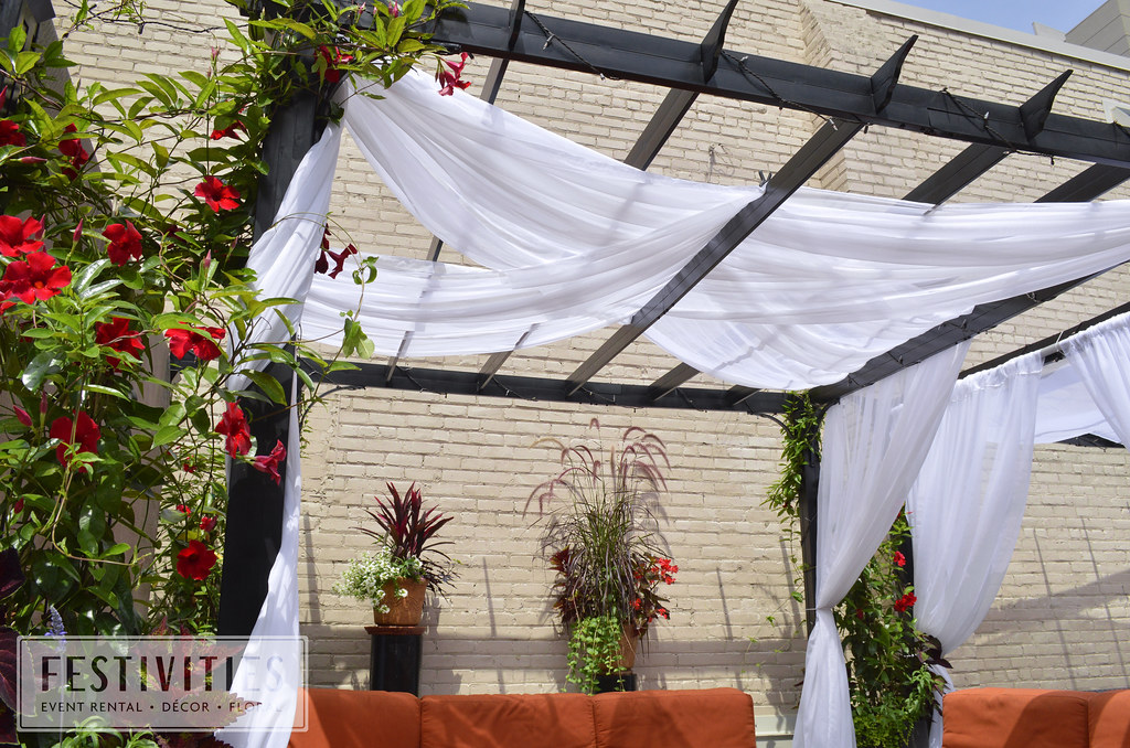 A pergola with white drapes and vibrant red flowers, creating a cosy outdoor seating area against a brick wall.