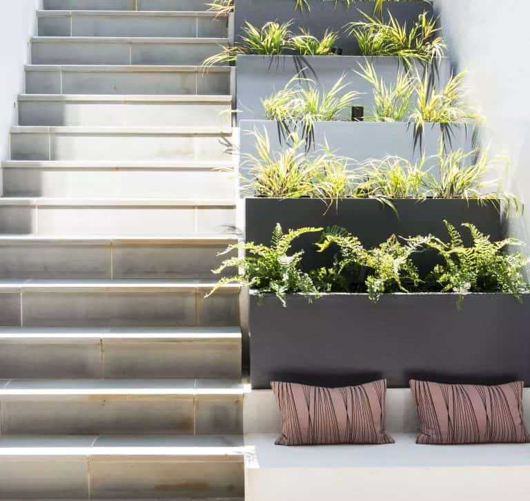 Garden steps lined with modern planters