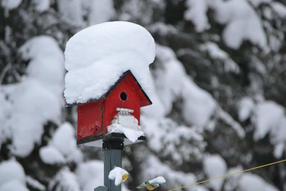 A bird house with a pile of snow