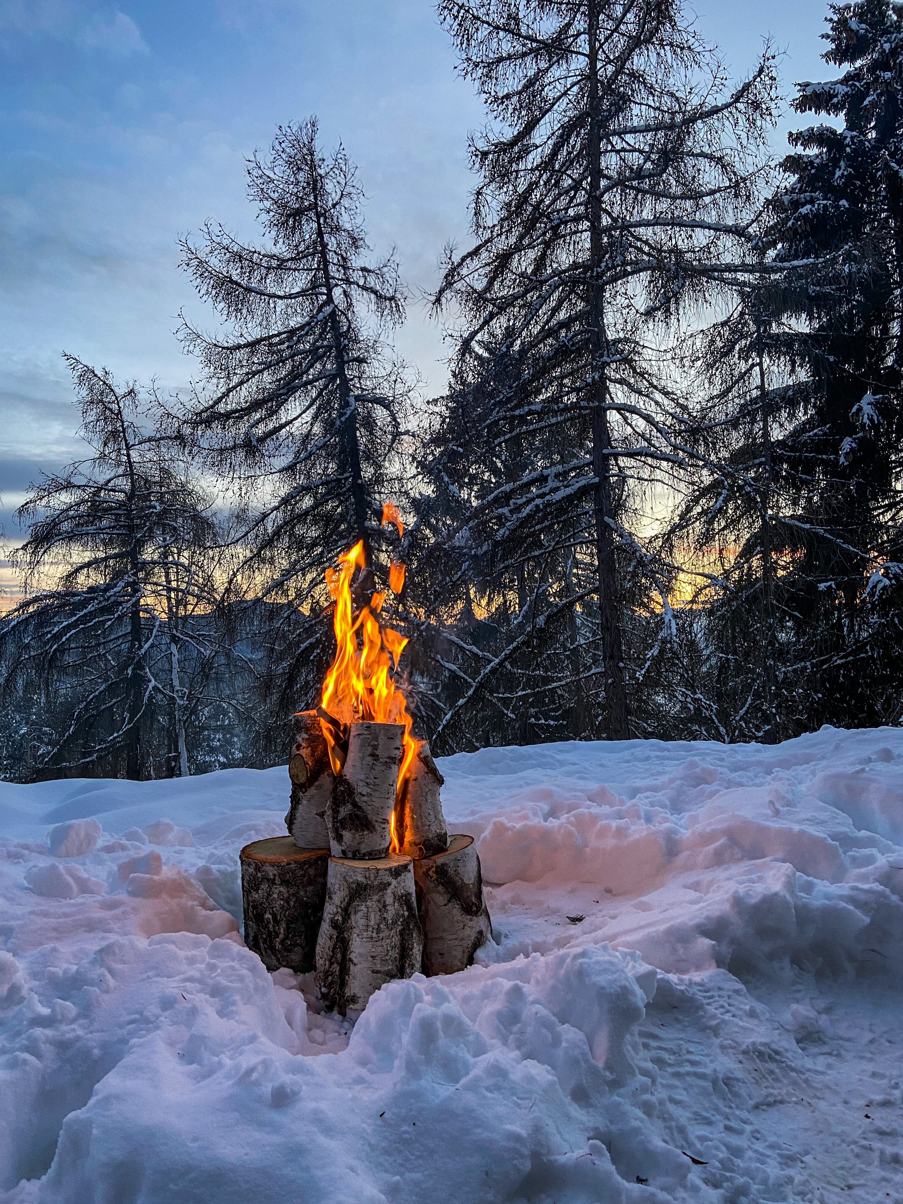 Burning bonfire in winter forest in twilight