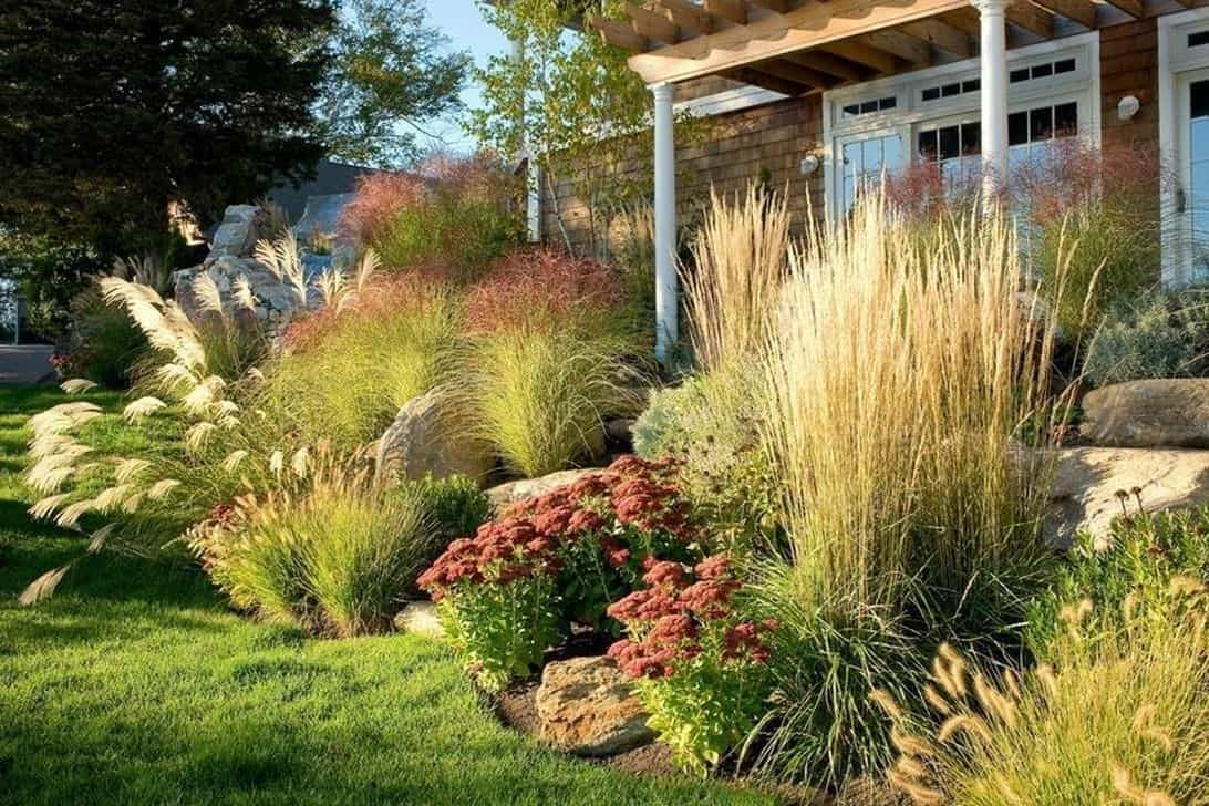 Unique front yard landscape with tall grasses