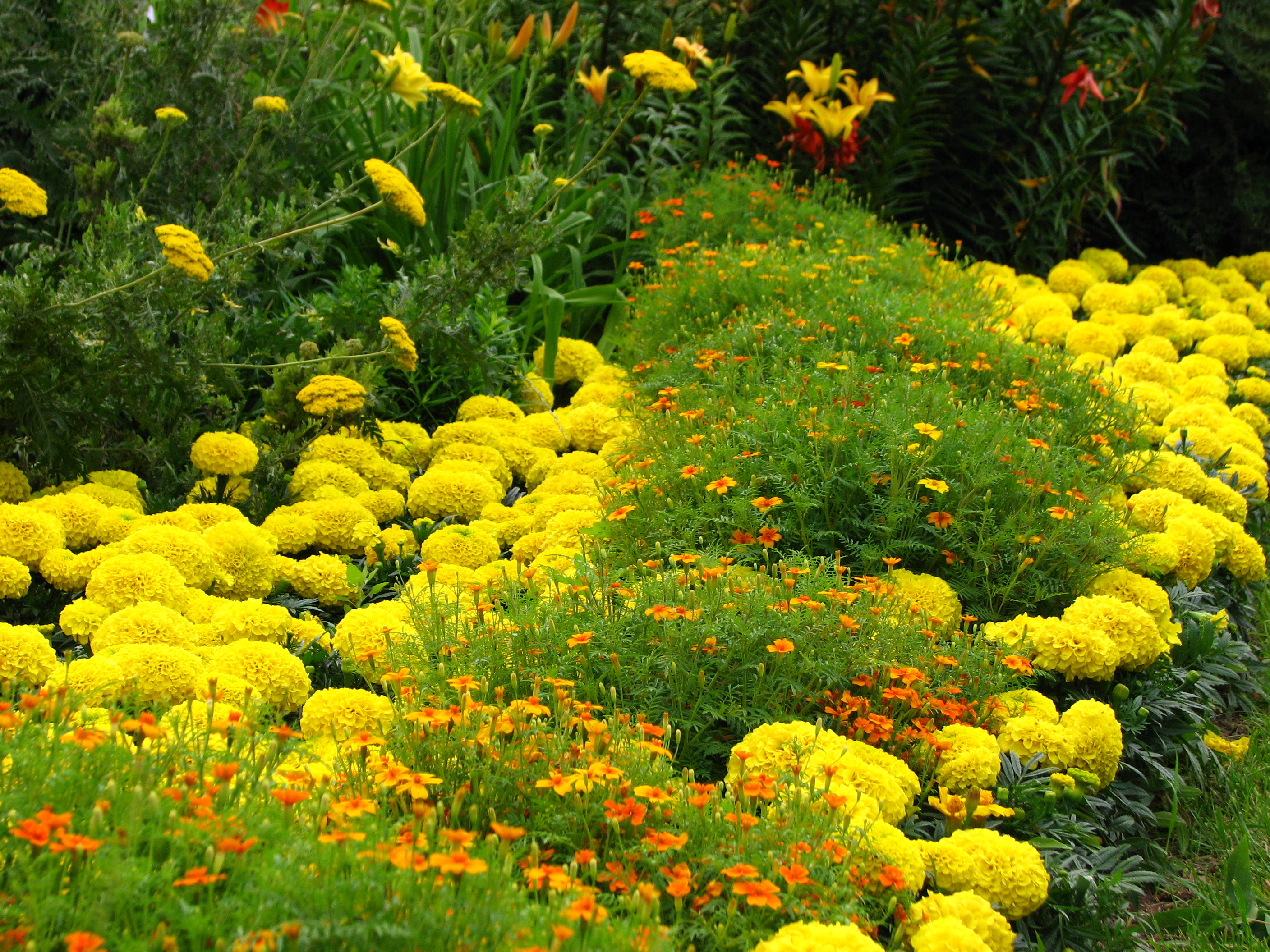 Bright flower bed borders