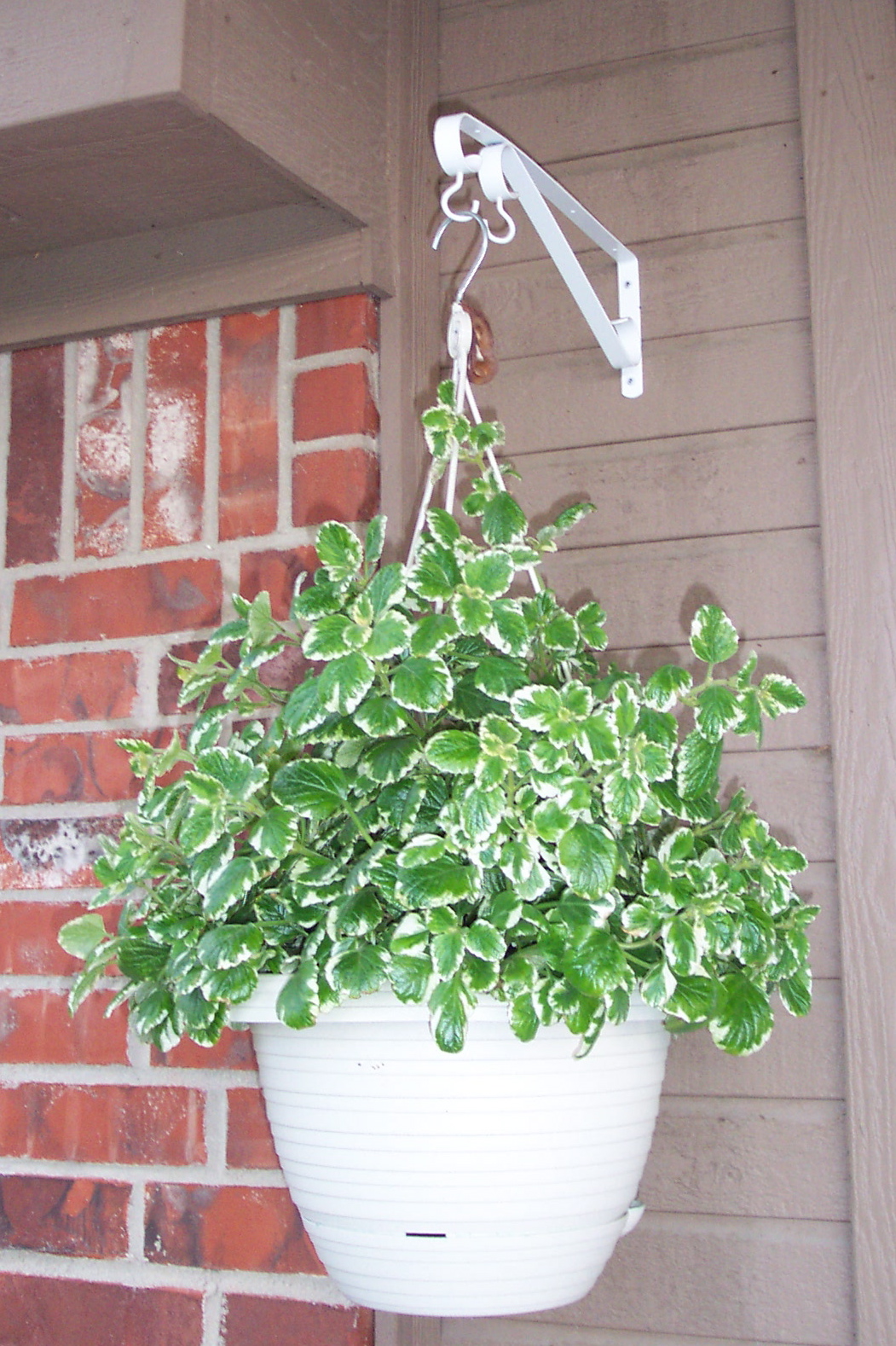 Front door with a hanging container