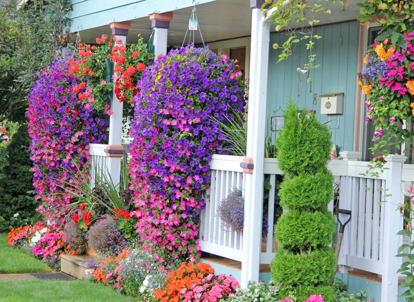Container plants with big containers hanging on the front porch