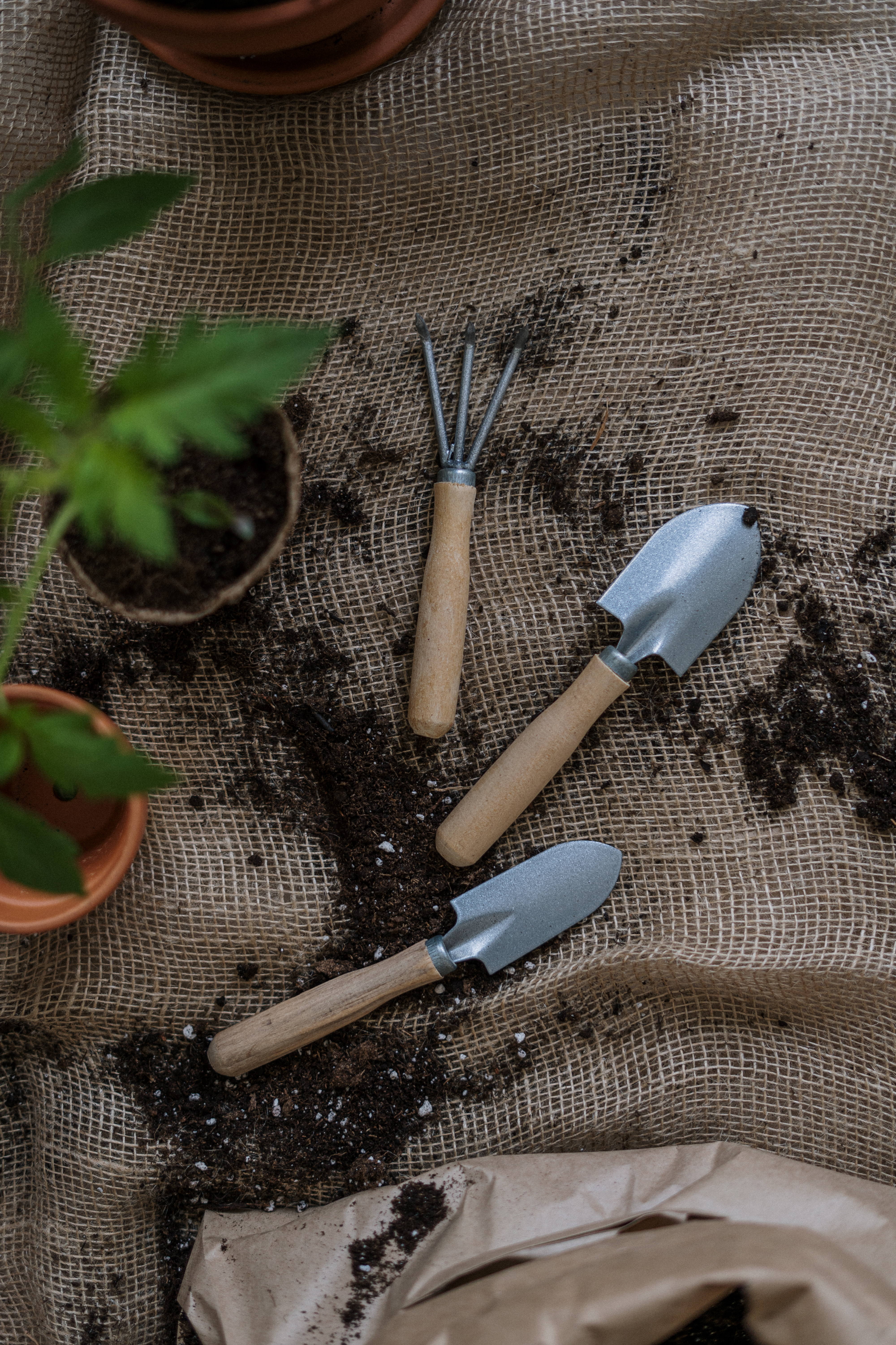 Houseplant gardening tools