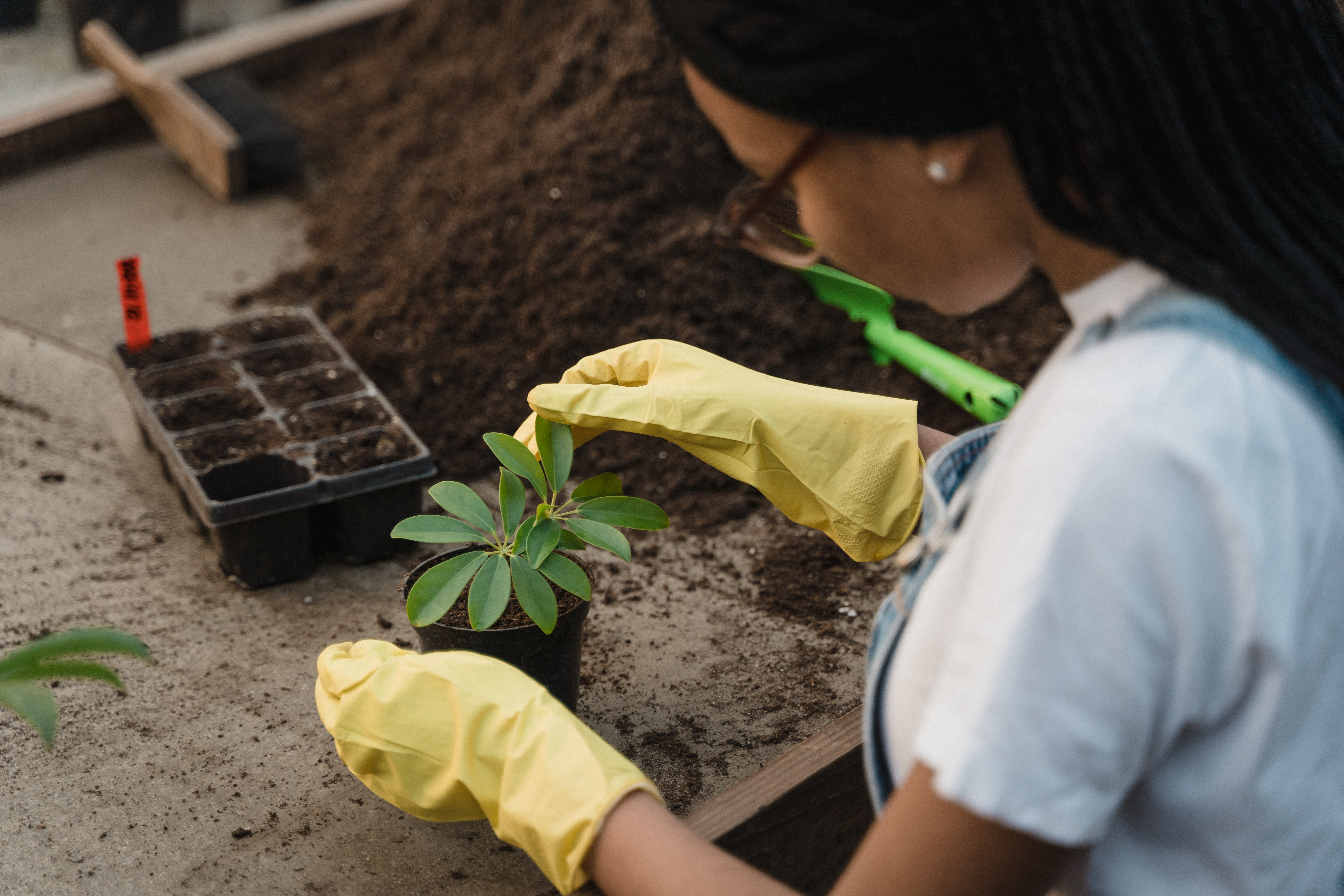 Woman in white t-shirt and yellow gloves checking a green plant