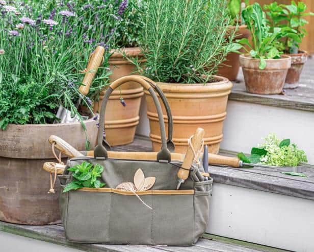 A set of gardening tool kit