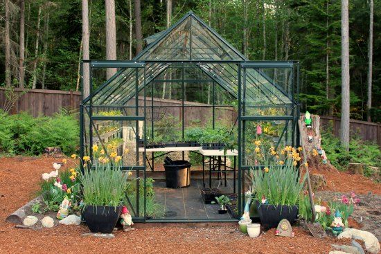 Small clear greenhouse