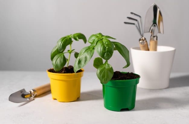 Tiny gardening tools for the houseplants