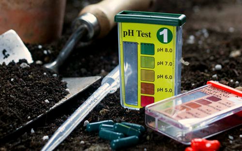 pH test strips for the soil