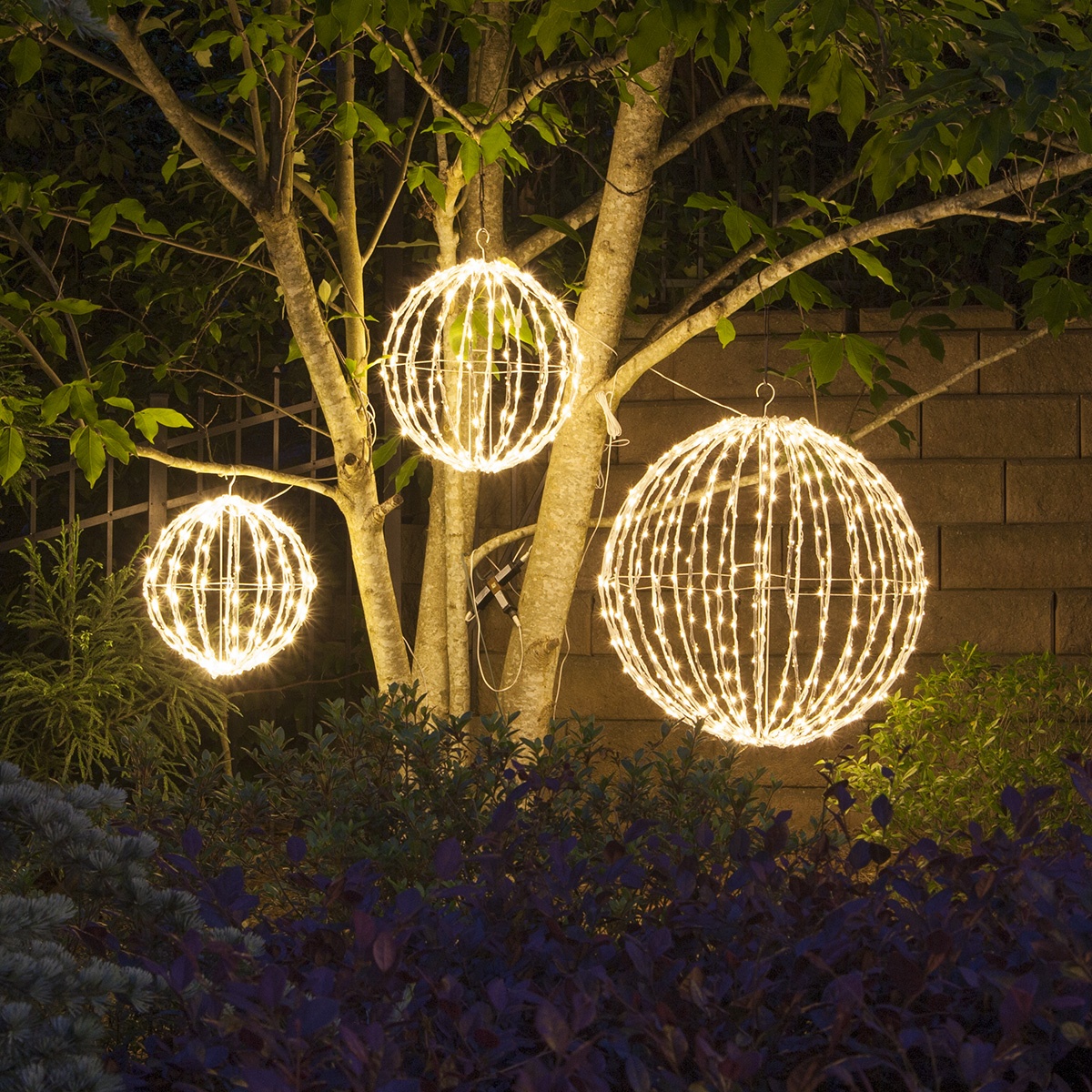 Christmas light balls on tree branches