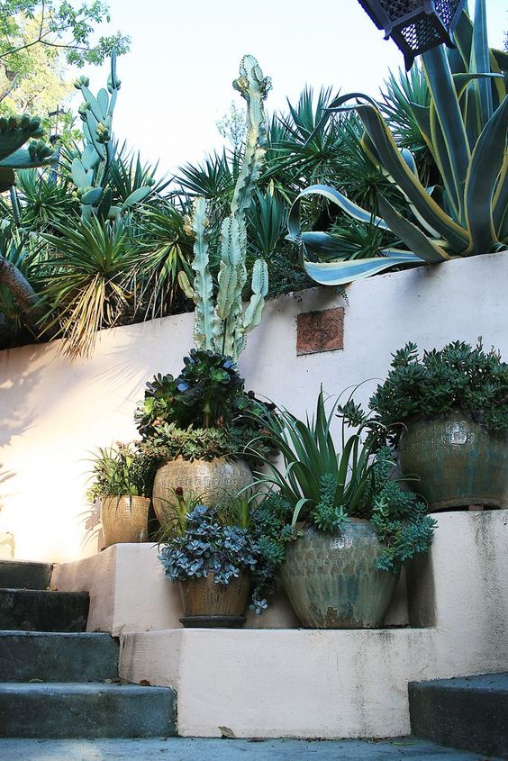 Sloped garden with a touch of tropical and seaside