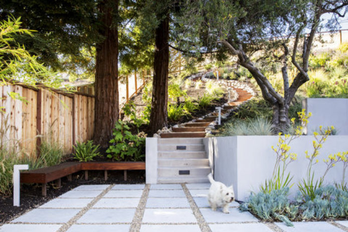 Trees as focal points on a sloped garden