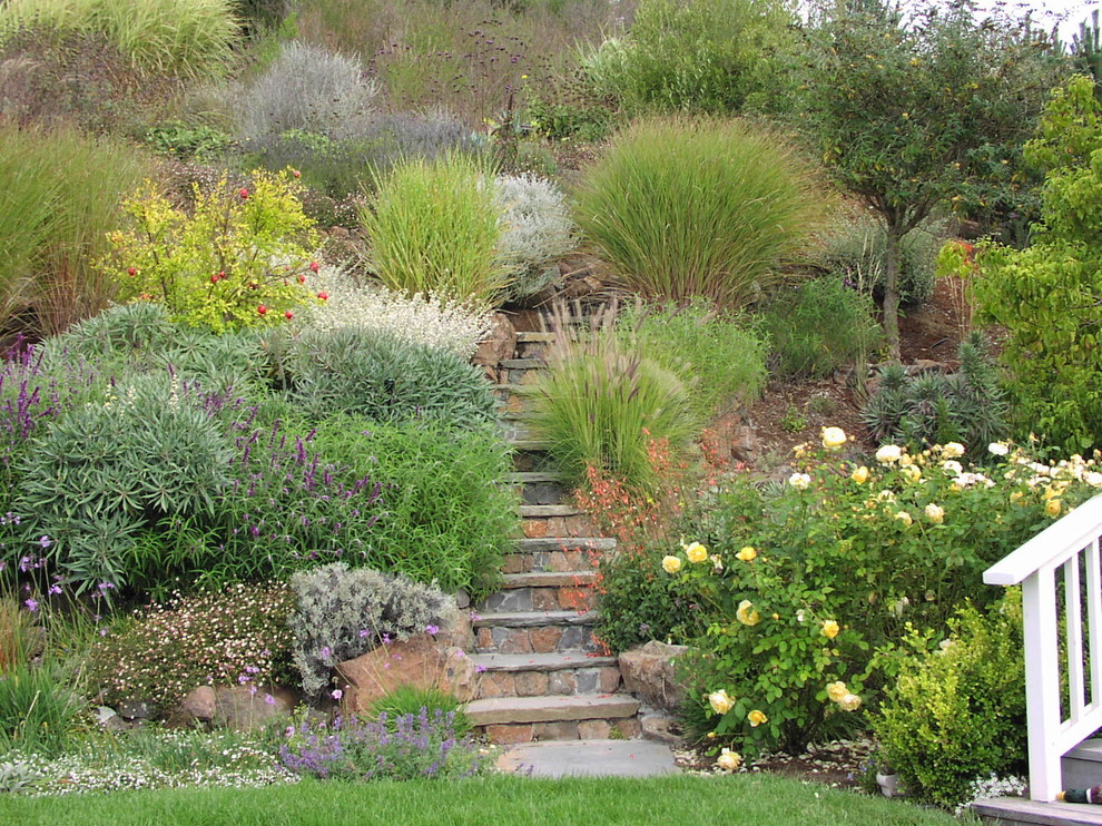 Sloping garden with ornamental grasses