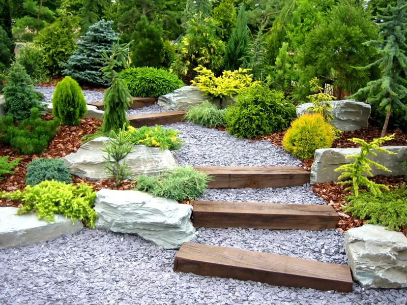 A sloping garden with defined pathway or route