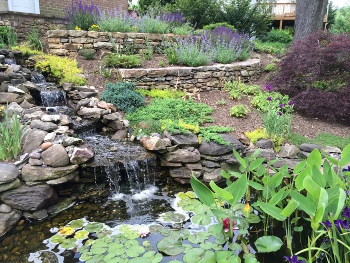 A sloping garden with cascading waterfall