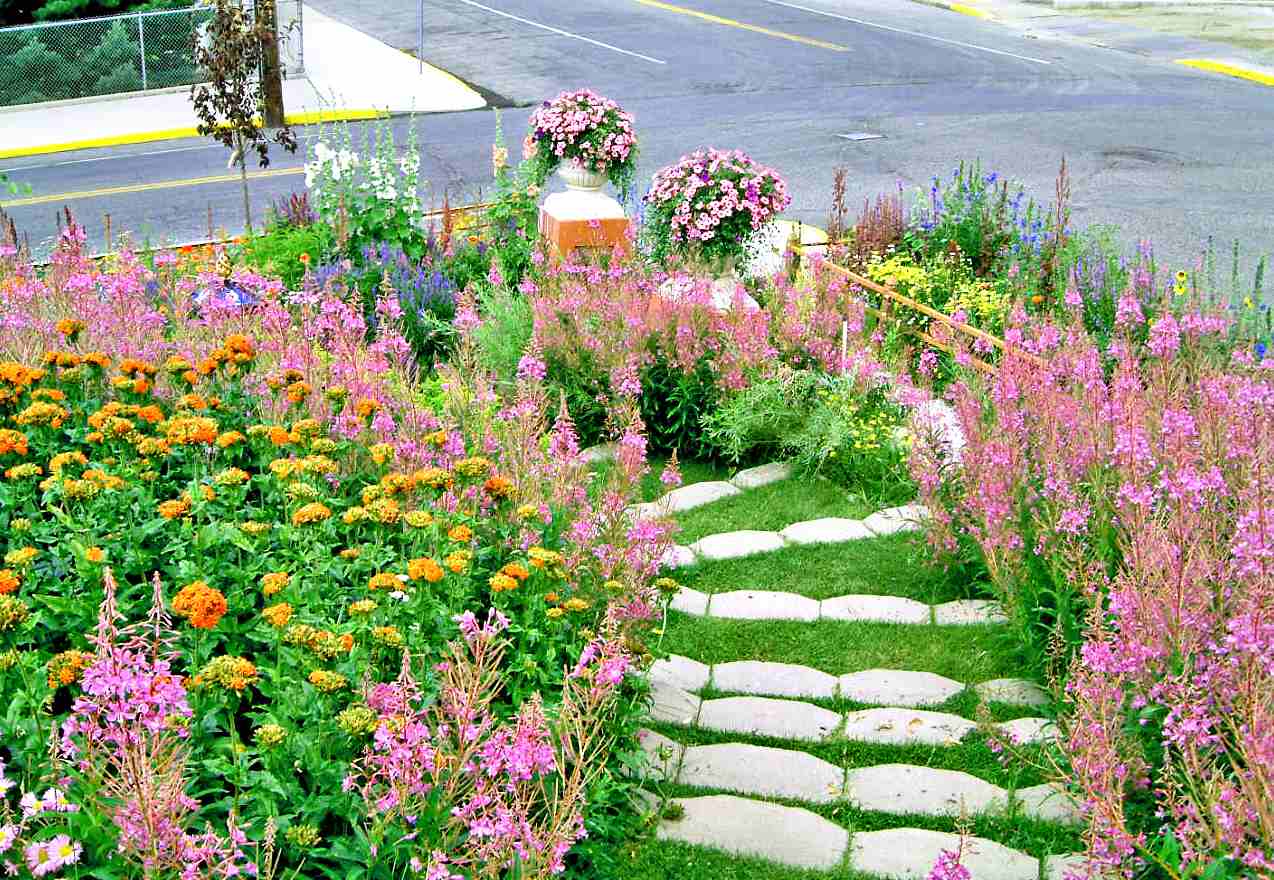 A sloping front garden with a flower trail