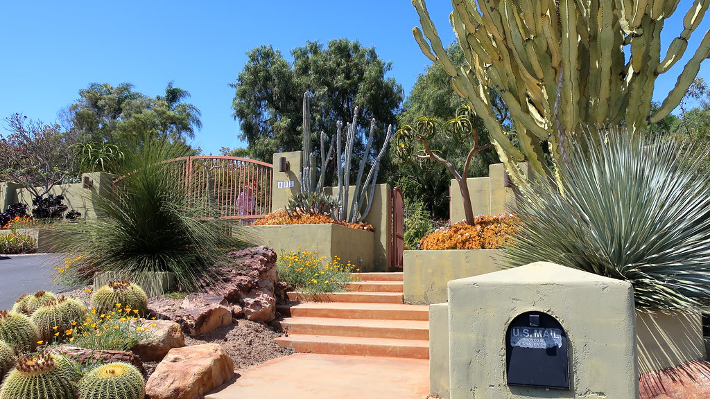 Dessert-themed front entrance with drought-tolerant plants and sandstone steps