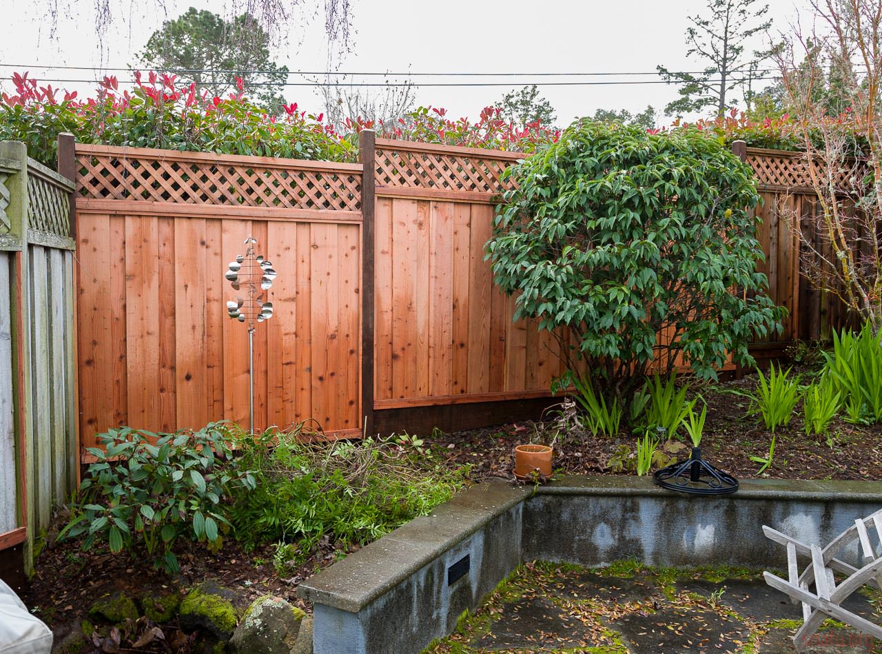 A sloped backyard with wooden fence