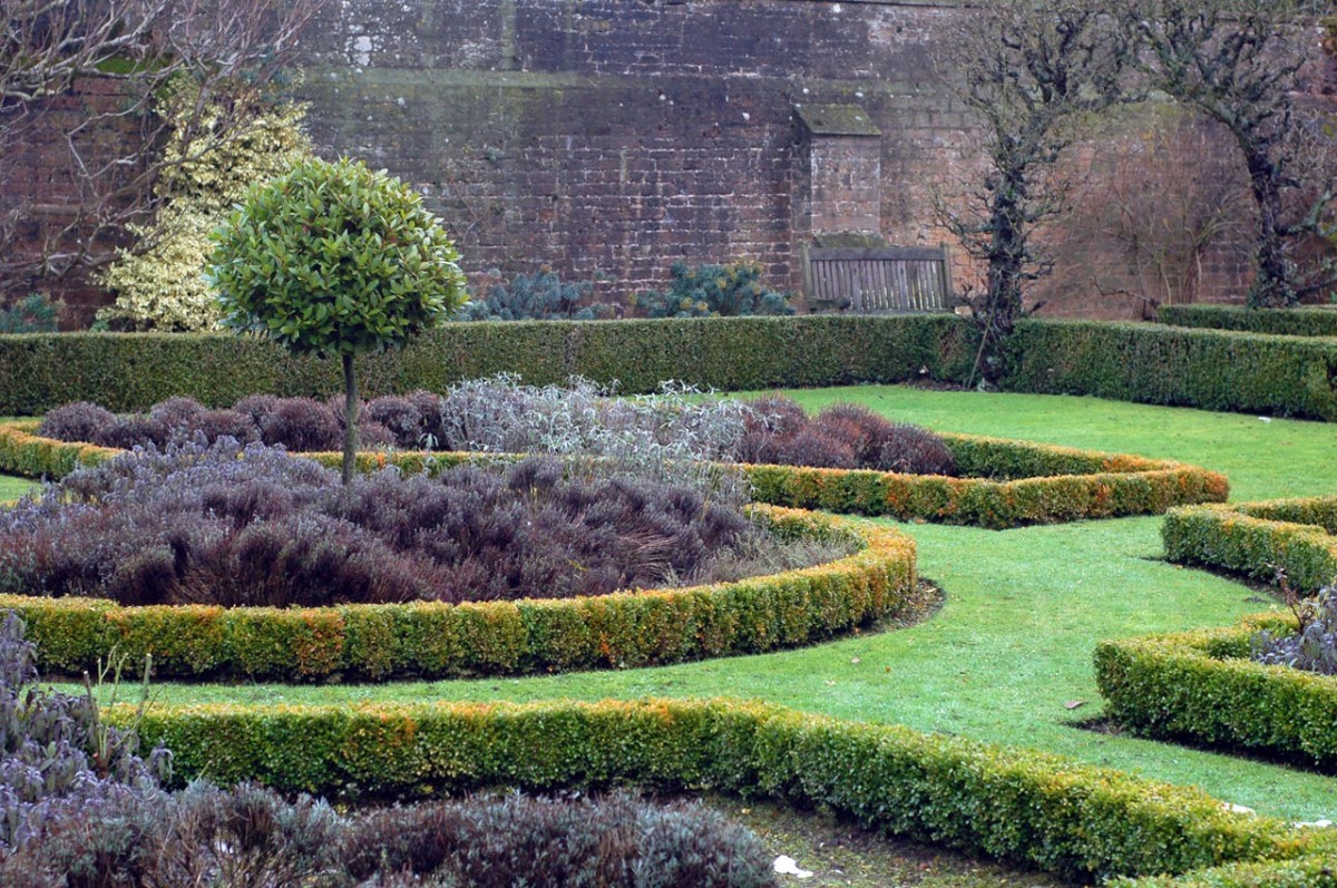 English garden with manicured and shaped shrubs