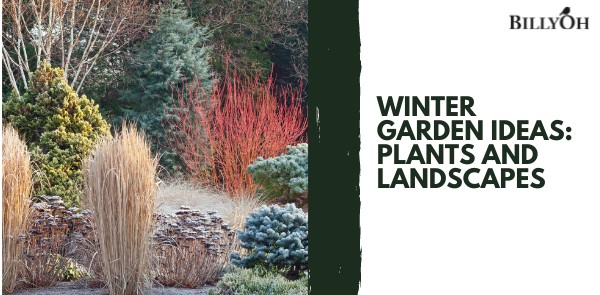 Winter Garden Ideas: Plants and Landscapes