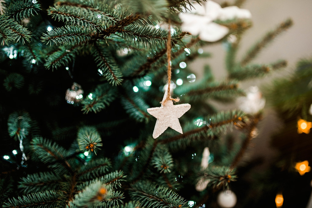 Star ornament hang on an indoor Christmas tree