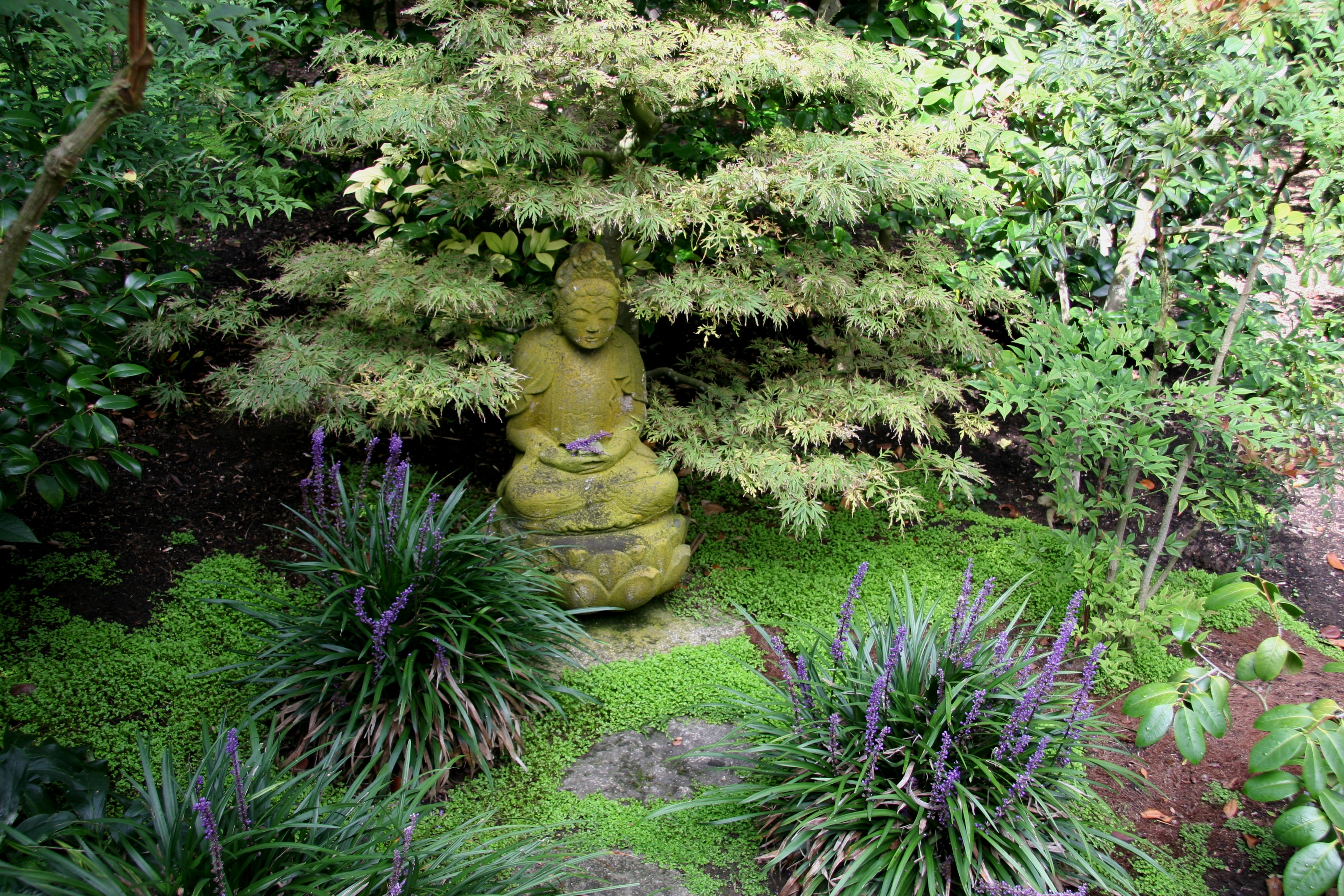 Buddha on Lotus Japanese Garden