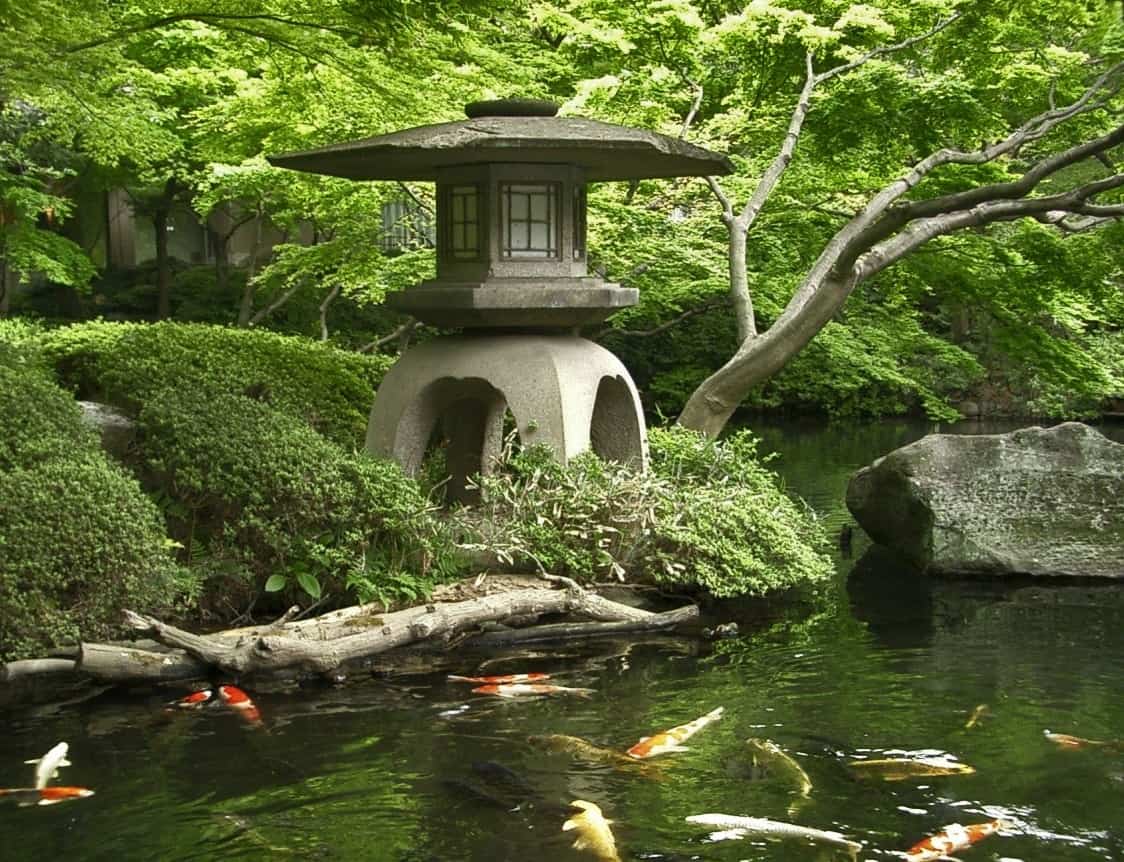 Garden pond in a Japanese garden