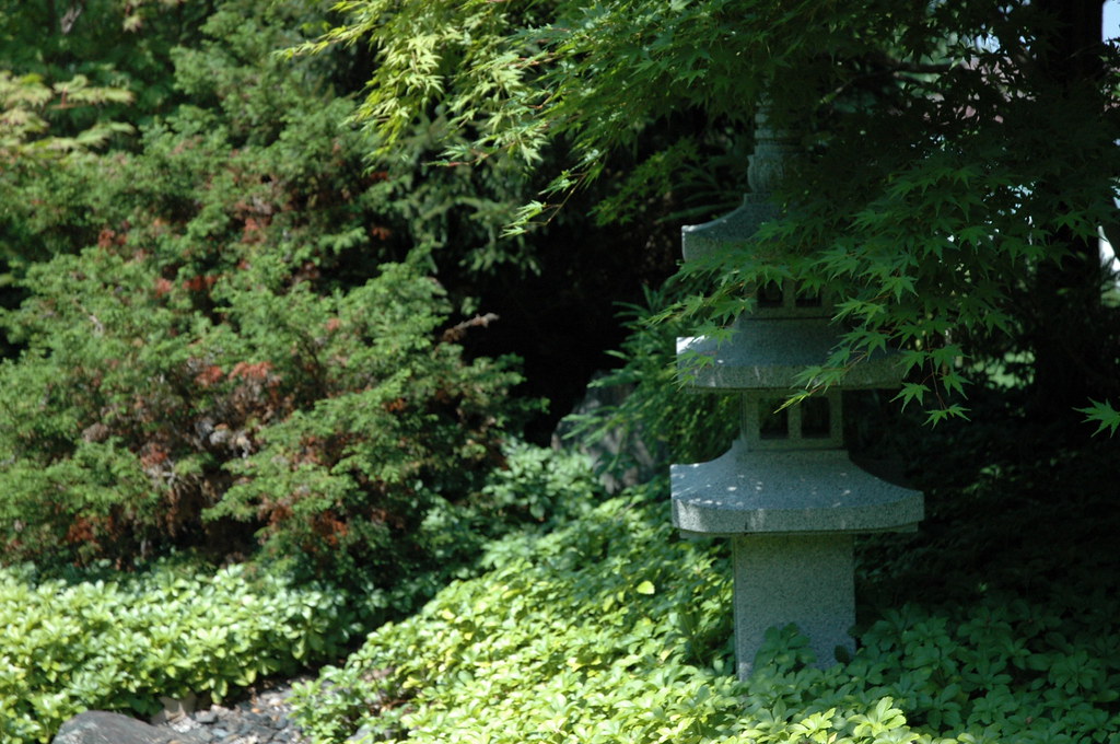 Japanese garden pagodas hidden amongst the bushes