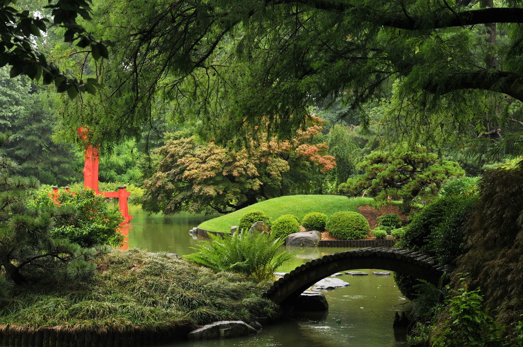 A view of a Japanese garden lake with a mini bridge
