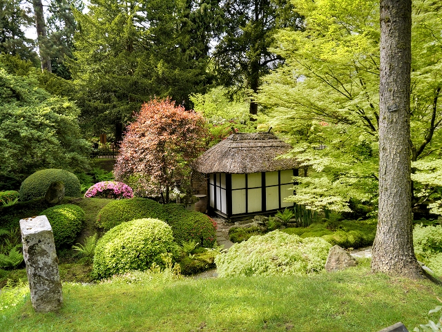 Japanese garden tea house