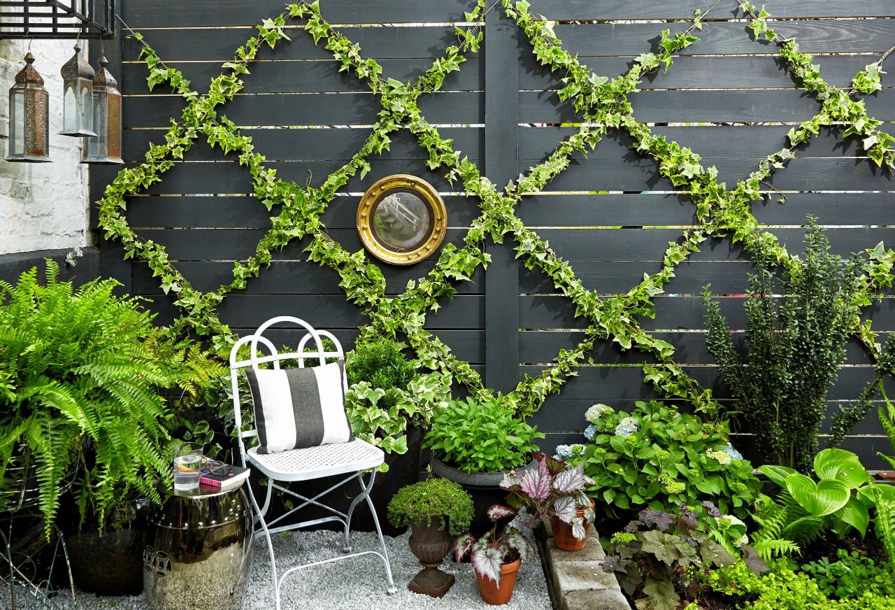 Gallery wall with vines for a small patio