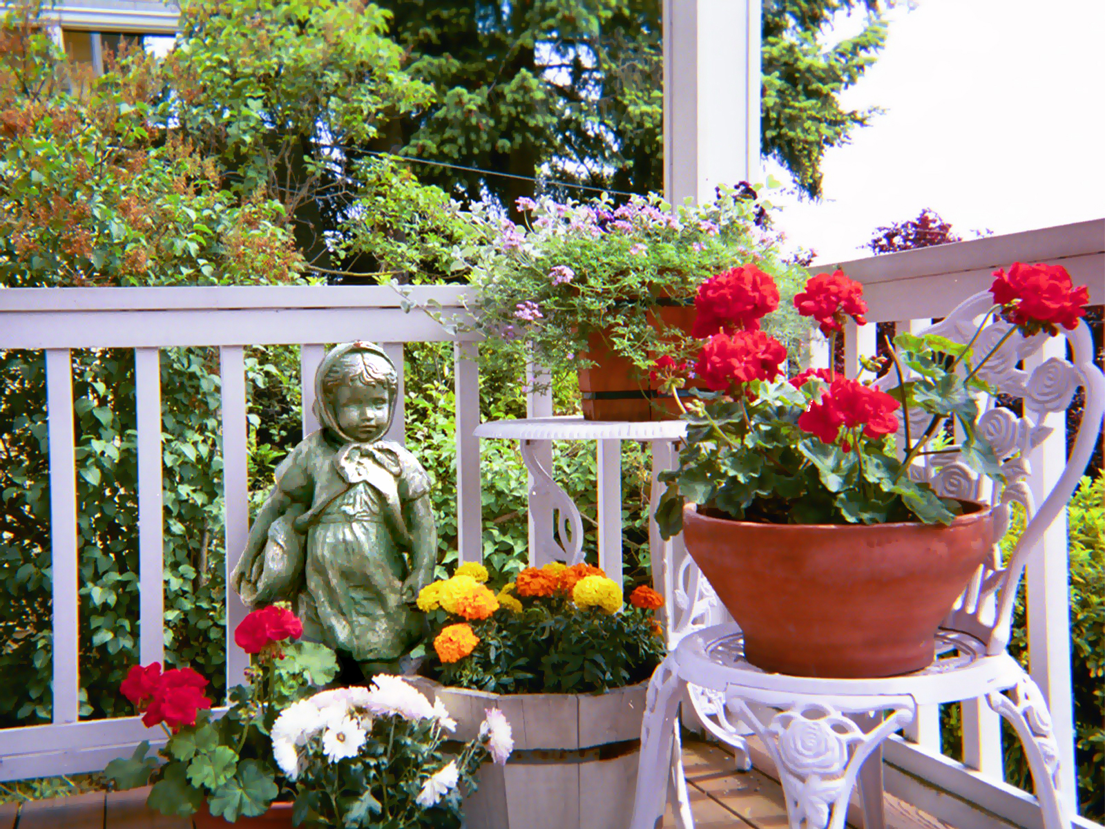 Potted flowers on patio