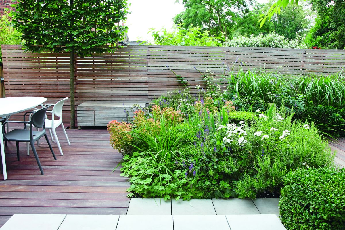 Tall planting schemes to add height in a small patio
