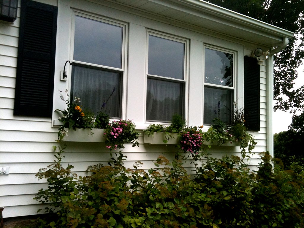 Kitchen window boxes with flowers