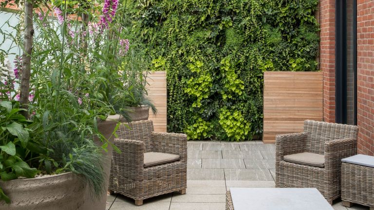 Towering living wall for a small patio