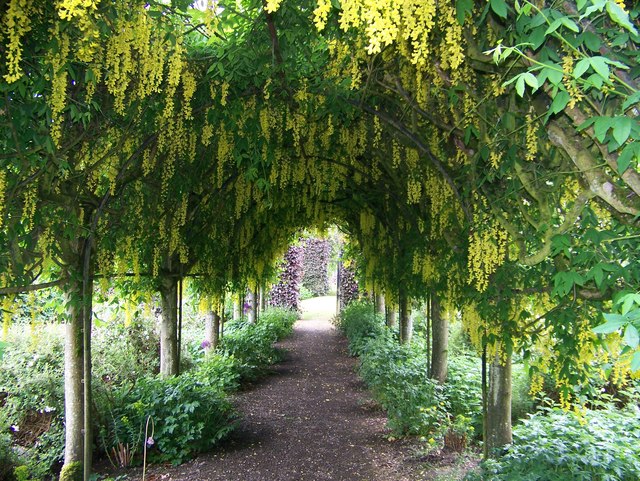 Floral archway
