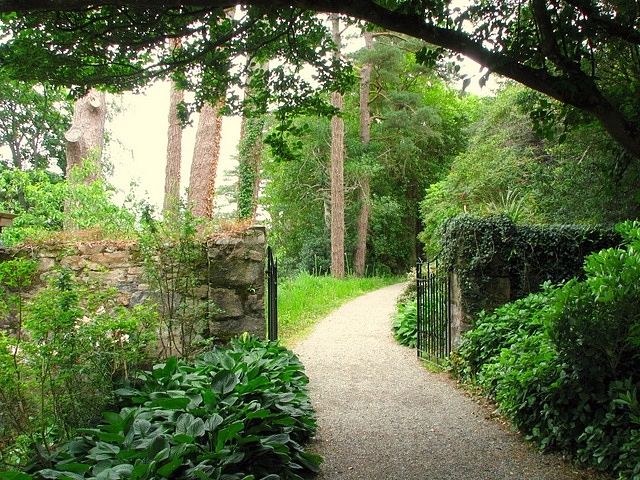 Clear front yard pathway