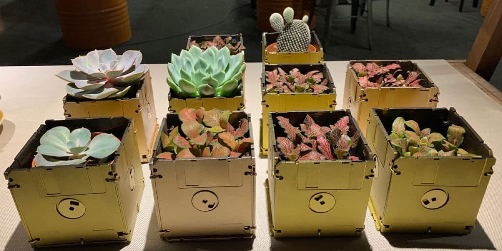 Succulent planters made from floppy disks
