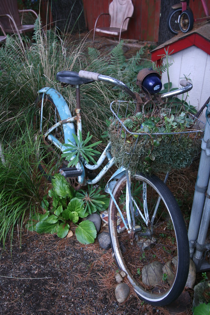 Old bike used as a planter