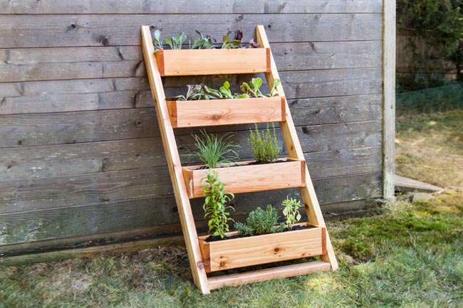 DIY garden planter from ladder