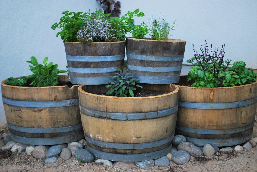DIY garden planter made from wine barrel