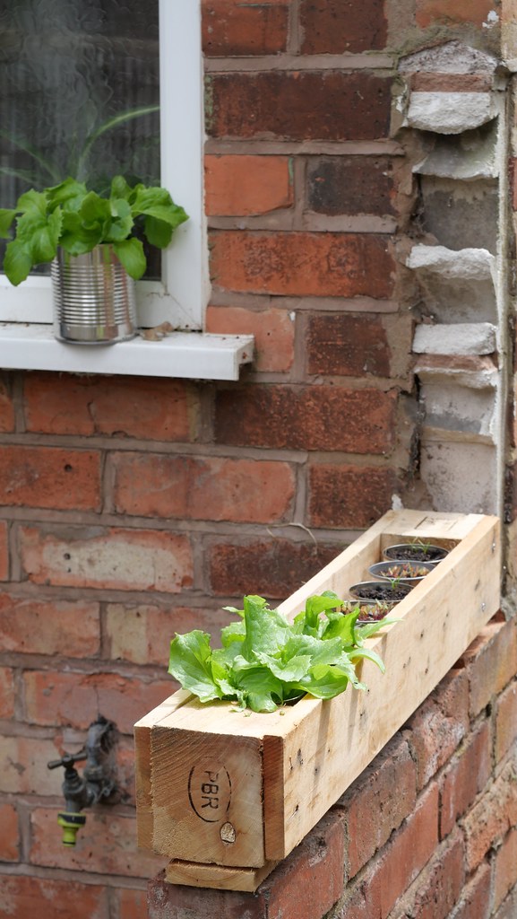 DIY crate pallet that houses one potted herb