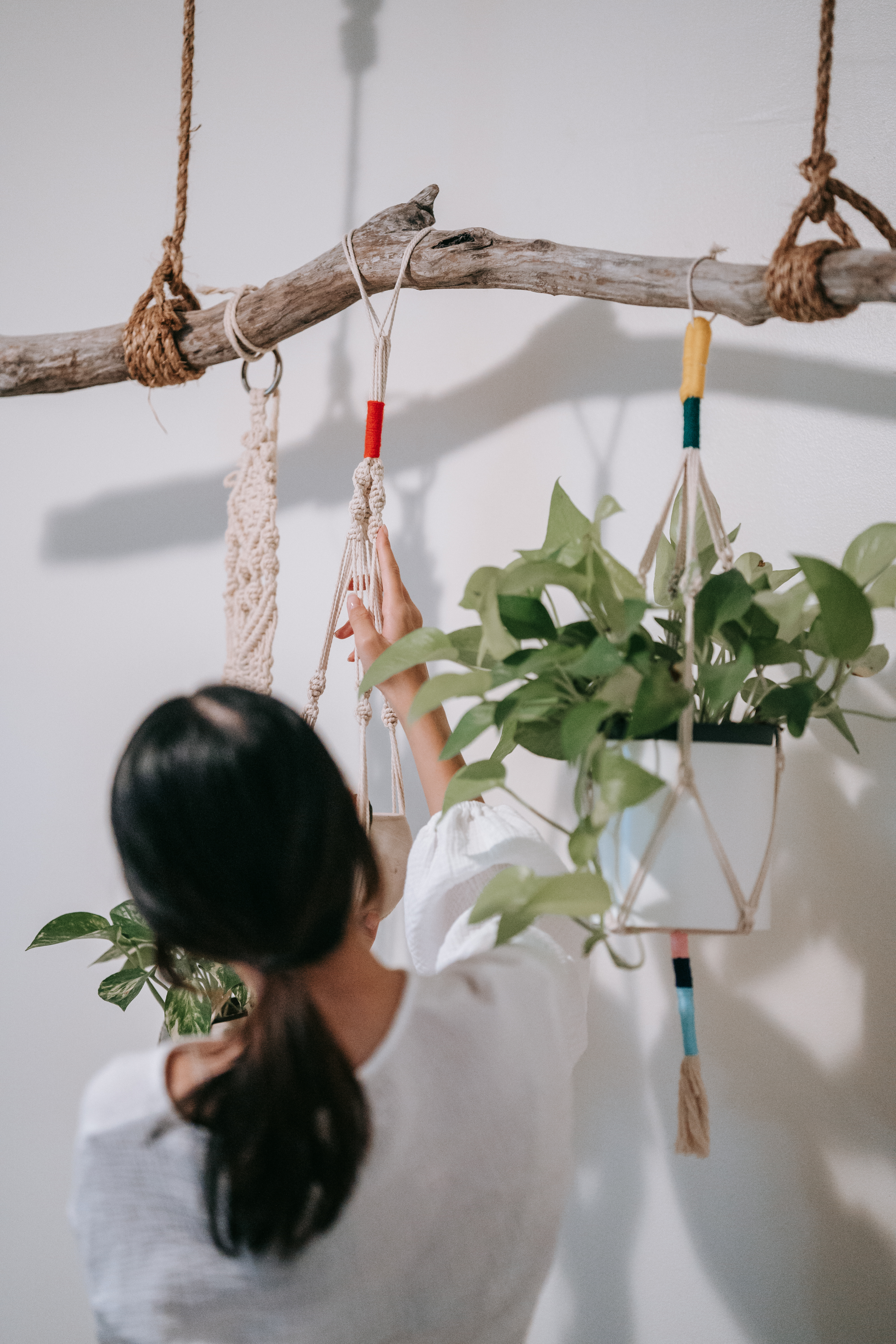 A woman hanging a macrame planter on a makeshift branch hanger