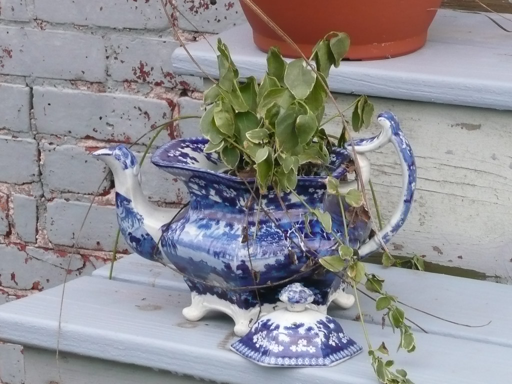 Vintage blue teapot planter