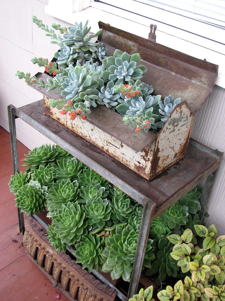 Old metal toolbox on top of a metal workbench, used as a planter