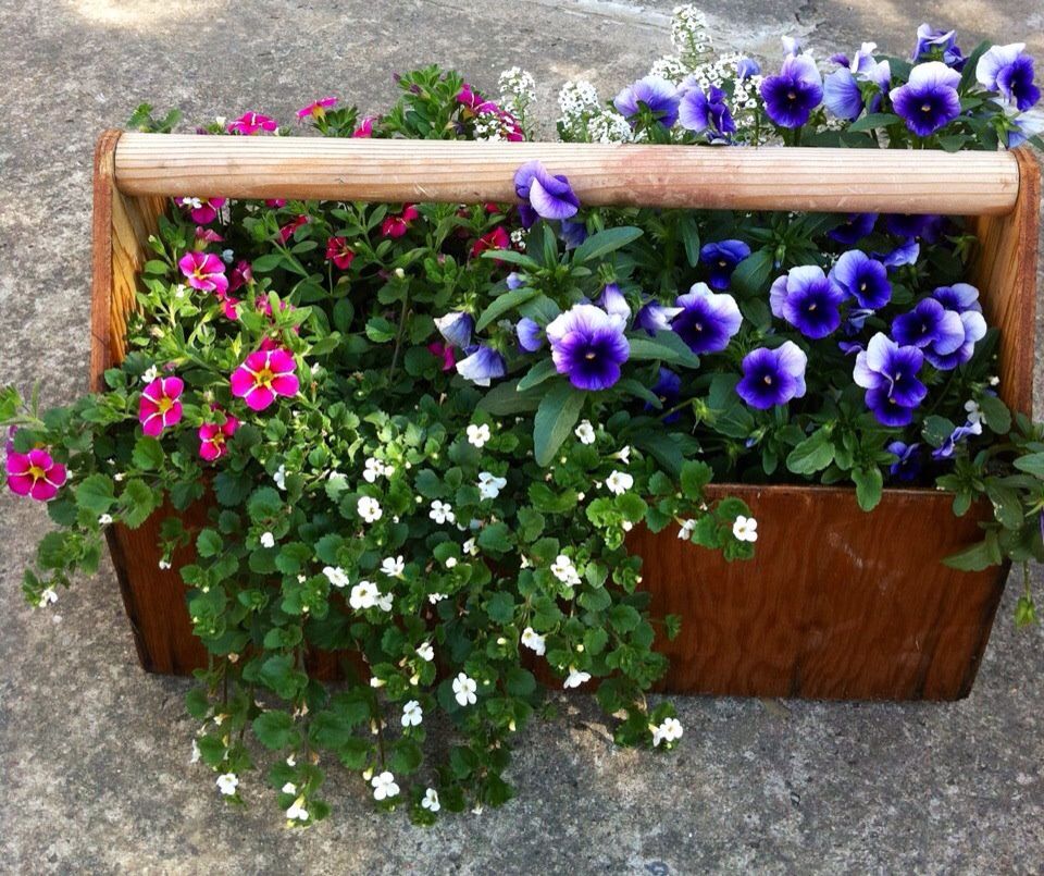 Old wooden toolbox planter