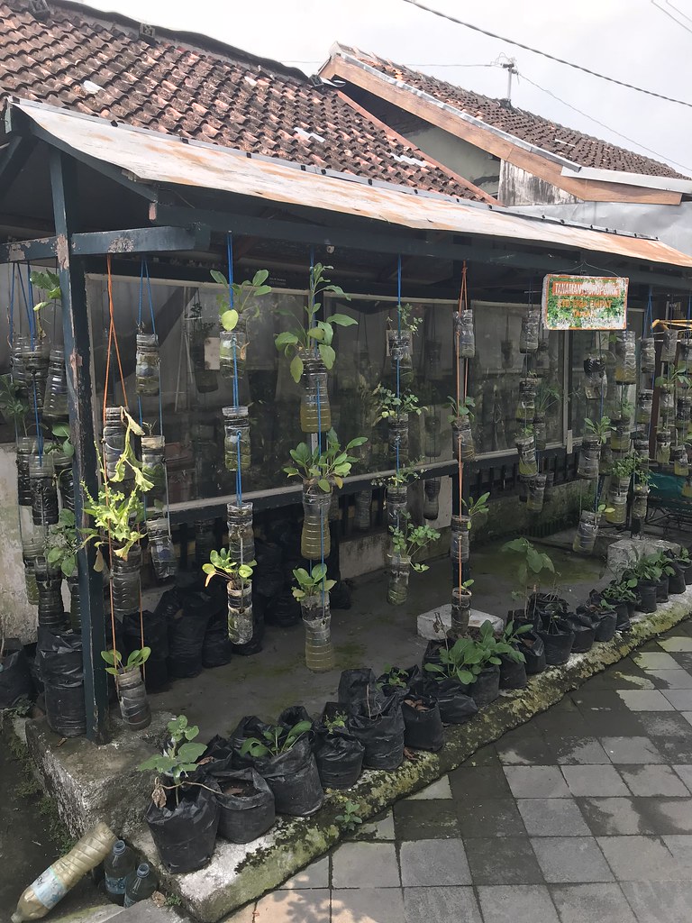 DIY plastic bottle planters in a vertical position
