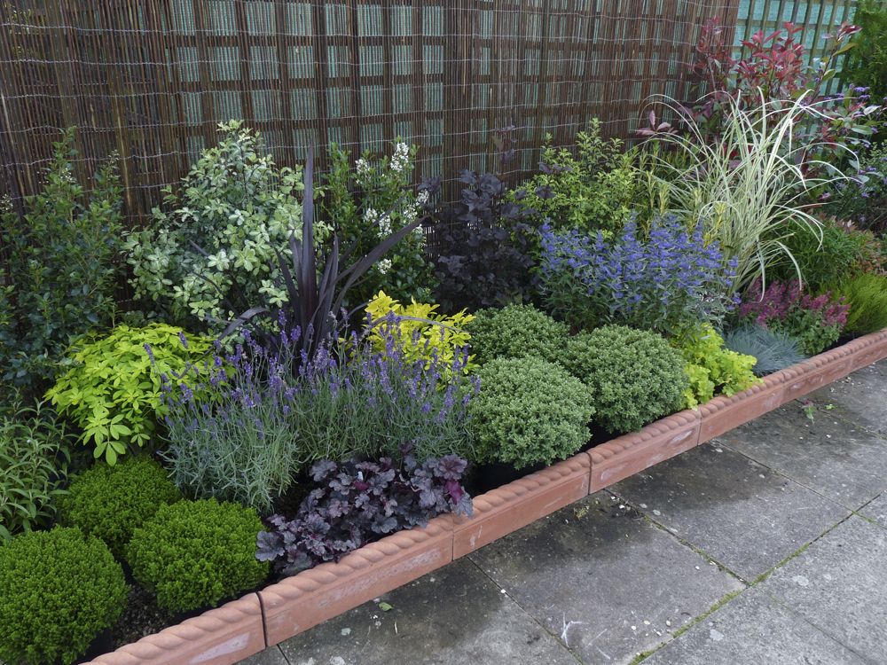 Garden border with shrubs for volume