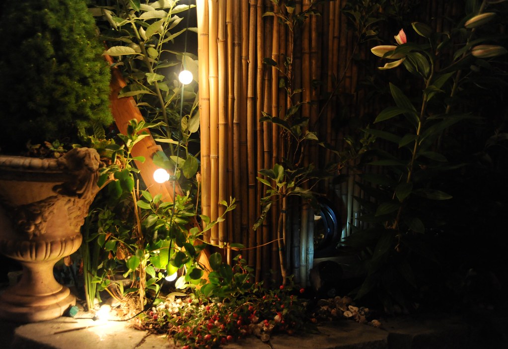 Garden corner with bamboo screening, bush edges, and globe lights for ambience
